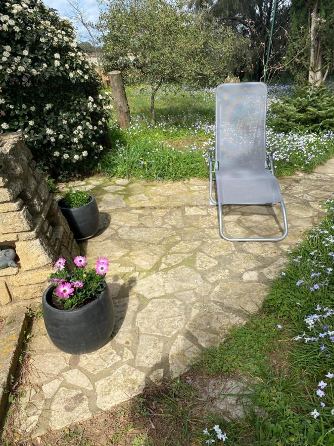 Studio Havre De Paix Au Pont Du Gard Piscine Et Jacuzzi Chez Valerie Payre Vers Pont du Gard Exterior foto